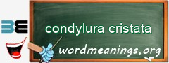 WordMeaning blackboard for condylura cristata